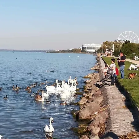 Apartament In Siofok/balaton 38208 *